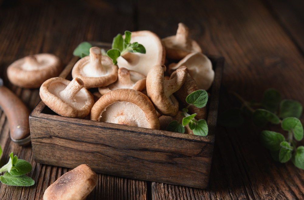 Mushrooms for Cancer Prevention